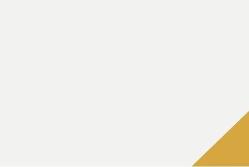 Blank white background with a gold triangle in the bottom right corner.