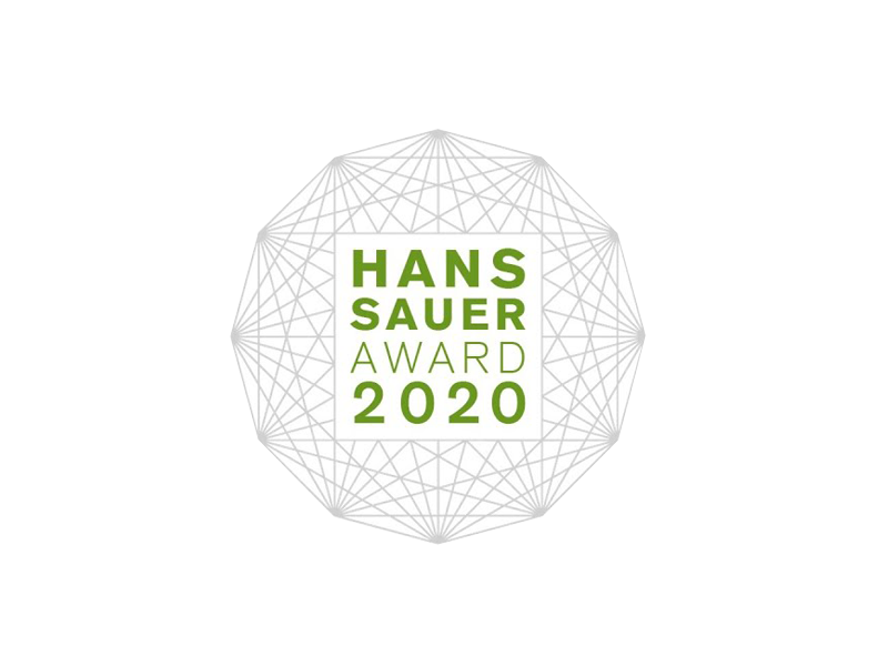 Graphic with geometric design and text reading "Hans Sauer Award 2020" in green